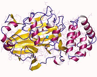 <span class="mw-page-title-main">Mannose phosphate isomerase</span>