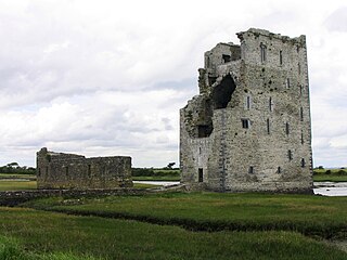 <span class="mw-page-title-main">Siege of Carrigafoyle Castle</span> 16th-century siege in Kerry, Ireland