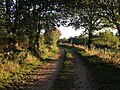 Sentier pédestre/VTT.