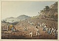 Slaves planting and tilling, 1823