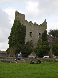 Dromineer Village in Munster, Ireland