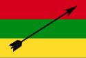 Bandeira de Neiva