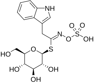 <span class="mw-page-title-main">Glucobrassicin</span> Chemical compound