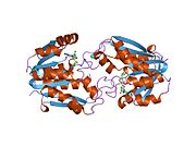 PDB 1p1c EBI.jpg