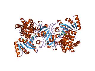 <span class="mw-page-title-main">DXP reductoisomerase</span> InterPro Family