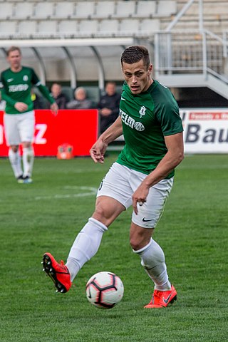 <span class="mw-page-title-main">Tomáš Holeš</span> Czech footballer