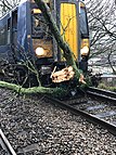 Tree blocking a railway line in England on the 9th of February.