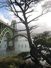 Yaquina Bay Bridge