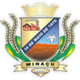 Minaçu – Stemma