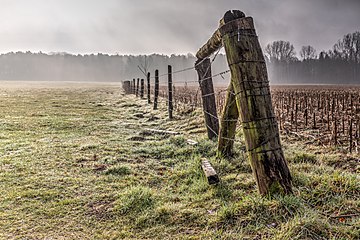 Dülmen, North Rhine-Westphalia, Germany