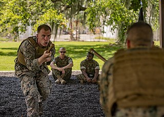 <span class="mw-page-title-main">Martial arts</span> Codified systems and traditions of combat