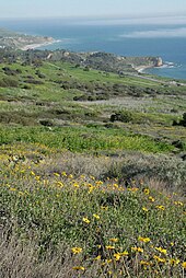 A trail in the Palos Verdes Nature Preserve, overlooking Coastal sage scrub and the Pacific Ocean PBNP EarlySpring 77.JPG