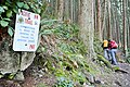 Image 10Pacific Northwest Trail at Blanchard Mountain in Washington (from Pacific Northwest Trail)