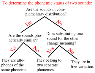 <span class="mw-page-title-main">Allophone</span> Phone used to pronounce a single phoneme