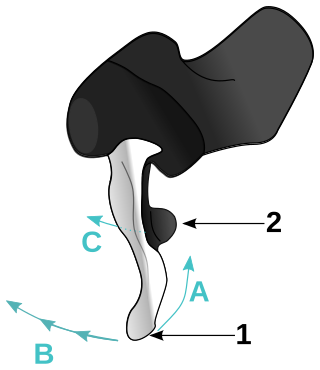 <span class="mw-page-title-main">Shimano Total Integration</span> Gearshift system for racing bicycles