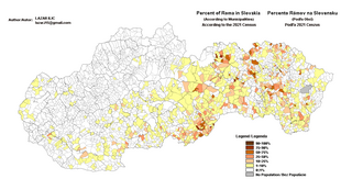 <span class="mw-page-title-main">Romani people in Slovakia</span> Ethnic group