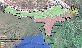 <span class="mw-page-title-main">Eastern Himalayas</span> Eastern half of the Himalayas mountain range