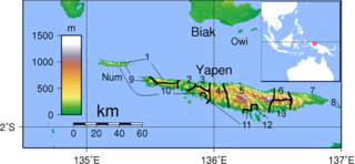 Yapen languages (Austronesian) Branch of the Austronesian language family