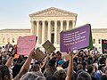 Image 53Protesters in front of the U.S. Supreme Court Building (from Washington, D.C.)