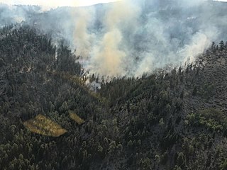 <span class="mw-page-title-main">Vics Peak Fire</span> Wildfire in New Mexico, United States