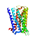 M3–acetilholinreceptor