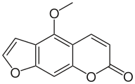 Bergapteeni