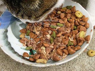 <span class="mw-page-title-main">Cat food</span> Food for consumption by cats