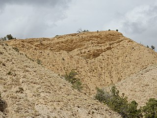 <span class="mw-page-title-main">Juana Lopez Member</span> Stratigraphic member of the Carlisle Shale