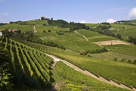 Typische Langhe Landschaft