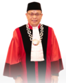 M. Guntur Hamzah Anggota