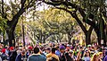 Magazine Streamers - Carnival Time in Uptown New Orleans