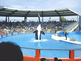 <span class="mw-page-title-main">Miami Seaquarium</span> Zoo in Florida, US