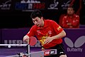 Ma Long, Chinese table tennis player