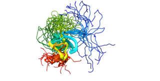 <span class="mw-page-title-main">PRDM16</span> Protein-coding gene in the species Homo sapiens