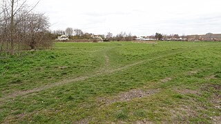 <span class="mw-page-title-main">Roundshaw Downs</span>