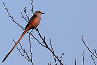 Near Tampico, Mexico