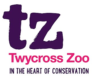 <span class="mw-page-title-main">Twycross Zoo</span> English animal park specialising in primates