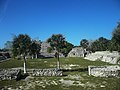 Xcambó, Yucatán.