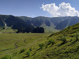 <span class="mw-page-title-main">Kupwara district</span> District of Jammu and Kashmir administered by India