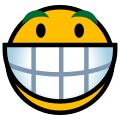 [[Datei:Biggrin-smiley.svg]]