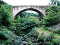 Causey Arch, near Stanley and Sunniside