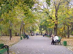 Parcul Central