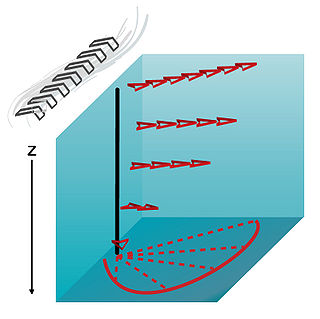 <span class="mw-page-title-main">Ekman layer</span> Force equilibrium layer in a liquid