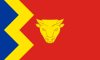 Bandeira de Birmingham