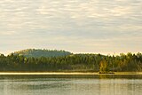 An autumnal morning at a lake