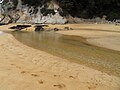 Strand op Nieuw-Zeeland