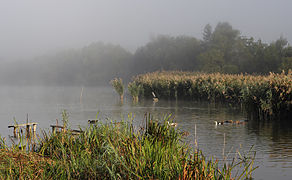 Komargorod pond, Tomashpil Raion of Vinnytsia Oblast Image is also a Featured picture of fog