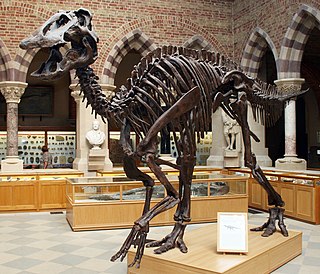 <i>Edmontosaurus annectens</i> Hadrosaurid species from the Late Cretaceous Period