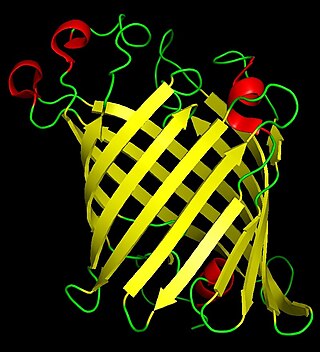 Phospholipase A<sub>1</sub> Mammalian protein found in Homo Sapiens