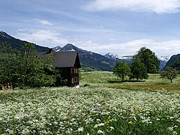 Maaitiid yn Großwalsertal